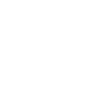 Secure User Access